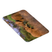 Afrika, Kenia, Samburu. Elefantenherausforderung Magnet (Rechte Seite)