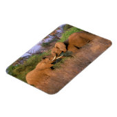 Afrika, Kenia, Samburu. Elefantenherausforderung Magnet (Linke Seite)