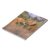 Afrika, Kenia, Samburu. Elefantenherausforderung Notizblock (Rotiert)