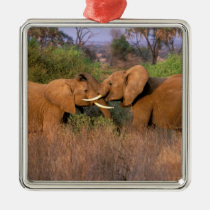 Afrika, Kenia, Samburu. Elefantenherausforderung Ornament Aus Metall