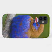 Afrika. Kenia. Violetter Grenadier Case-Mate iPhone Hülle (Rückseite (Horizontal))
