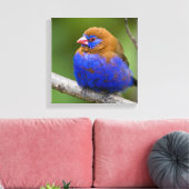 Afrika. Kenia. Violetter Grenadier Leinwanddruck (Insitu (Wohnzimmer))