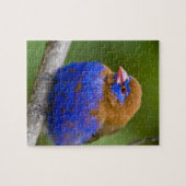 Afrika. Kenia. Violetter Grenadier Puzzle (Horizontal)