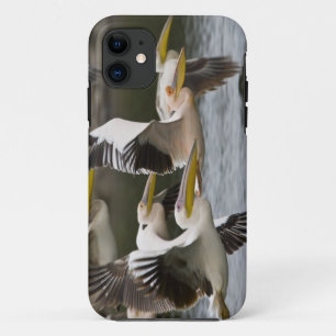 Afrika. Kenia. Weiße Pelikane im Flug am See Case-Mate iPhone Hülle