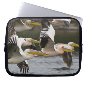 Afrika. Kenia. Weiße Pelikane im Flug am See Laptopschutzhülle