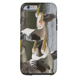 Afrika. Kenia. Weiße Pelikane im Flug in See Tough iPhone 6 Hülle