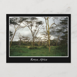 Afrika Kenia Wildland Postkarte
