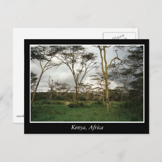 Afrika - Kenia-Wildland Postkarte (Vorne/Hinten)