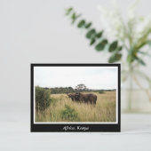 Afrika - Kenia - Wildtiere Postkarte (Stehend Vorderseite)