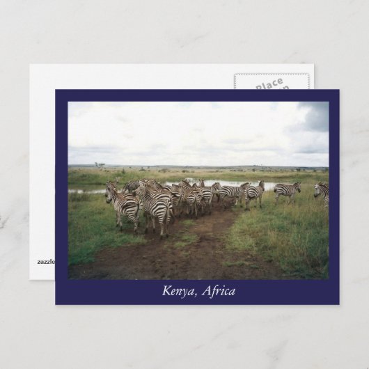 Afrika - Kenia - Wildtiere Postkarte (Vorne/Hinten)