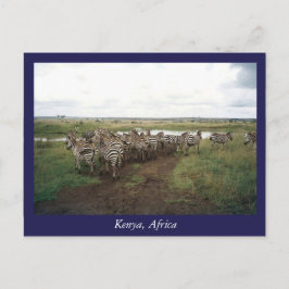 Afrika - Kenia - Wildtiere Postkarte