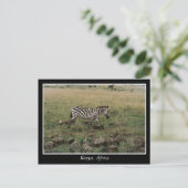 Afrika - Kenia - Wildtiere Postkarte (Stehend Vorderseite)