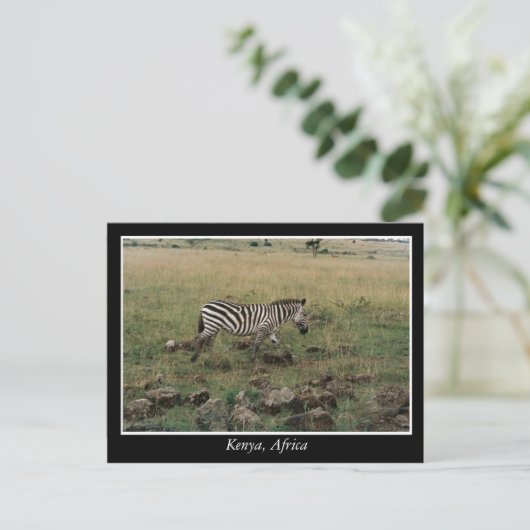 Afrika - Kenia - Wildtiere Postkarte (Stehend Vorderseite)