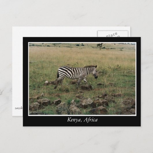 Afrika - Kenia - Wildtiere Postkarte (Vorne/Hinten)