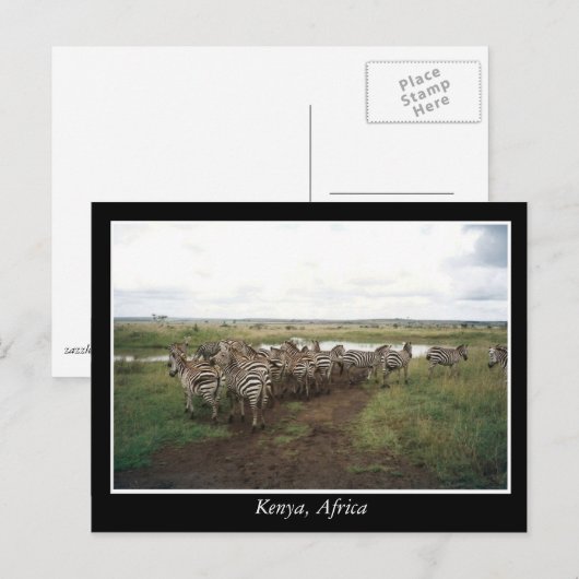Afrika - Kenia - Wildtiere Postkarte (Vorne/Hinten)