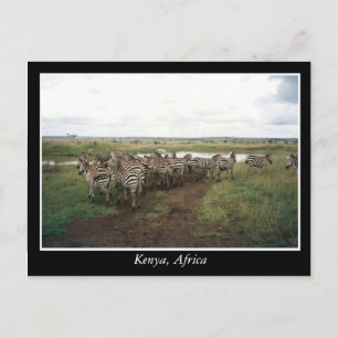 Afrika Kenia Wildtiere Postkarte