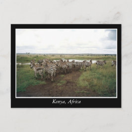 Afrika - Kenia - Wildtiere Postkarte