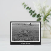 Afrika - Kenia - Wildtiere Postkarte (Stehend Vorderseite)