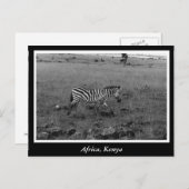 Afrika - Kenia - Wildtiere Postkarte (Vorne/Hinten)