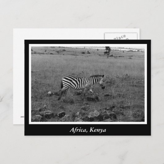 Afrika - Kenia - Wildtiere Postkarte (Vorne/Hinten)