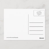 Afrika - Kenia - Wildtiere Postkarte (Rückseite)