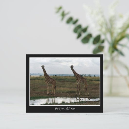 Afrika - Kenia - Wildtiere Postkarte (Stehend Vorderseite)