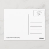 Afrika - Kenia - Wildtiere Postkarte (Rückseite)