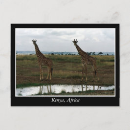 Afrika - Kenia - Wildtiere Postkarte