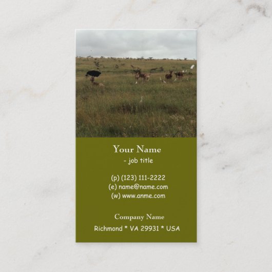 Afrika - Kenia - Wildtiere Visitenkarte (Vorderseite)