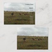 Afrika - Kenia - Wildtiere Visitenkarte (Vorne/Hinten)