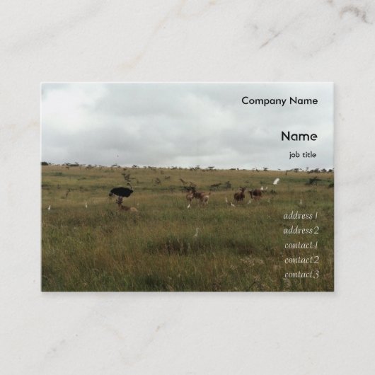 Afrika - Kenia - Wildtiere Visitenkarte (Vorderseite)