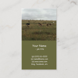 Afrika - Kenia - Wildtiere Visitenkarte