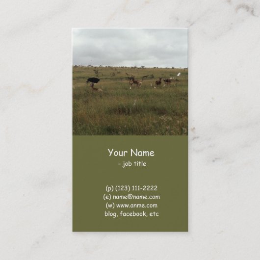 Afrika - Kenia - Wildtiere Visitenkarte (Vorderseite)