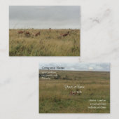 Afrika - Kenia - Wildtiere Visitenkarte (Vorne/Hinten)