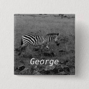 Afrika Kenia Zebra im Wilden Button
