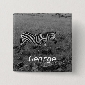 Afrika Kenia Zebra im Wilden Button