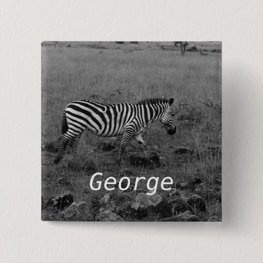 Afrika Kenia Zebra im Wilden Button (Vorderseite)