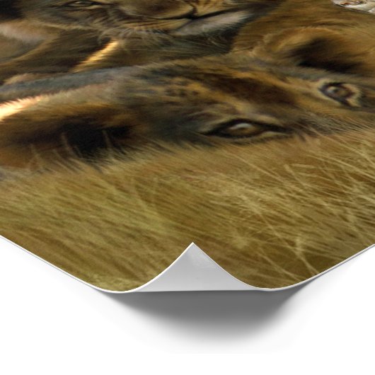 Afrika - Kunstposter/Print Poster (Ecke)