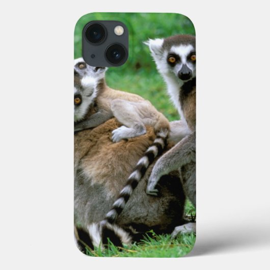 Afrika, Madagaskar, Antananarivo, Tsimbazaza Case-Mate iPhone Hülle (Rückseite)