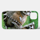 Afrika, Madagaskar, Antananarivo, Tsimbazaza Case-Mate iPhone Hülle (Rückseite (Horizontal))