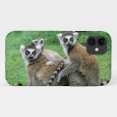 Afrika, Madagaskar, Antananarivo, Tsimbazaza Case-Mate iPhone Hülle (Rückseite (Horizontal))