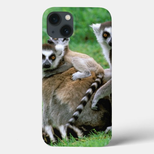 Afrika, Madagaskar, Antananarivo, Tsimbazaza Case-Mate iPhone Hülle (Rückseite)