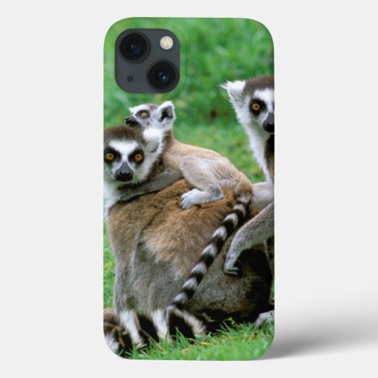 Afrika, Madagaskar, Antananarivo, Tsimbazaza Case-Mate iPhone Hülle (Rückseite)