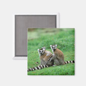 Afrika, Madagaskar, Antananarivo, Tsimbazaza Magnet (Vorderseite/Rückseite)