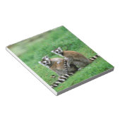 Afrika, Madagaskar, Antananarivo, Tsimbazaza Notizblock (angewinkelt)