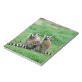 Afrika, Madagaskar, Antananarivo, Tsimbazaza Notizblock (Rotiert)