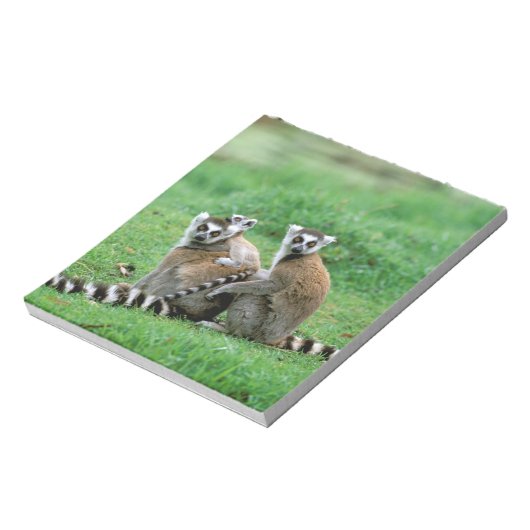 Afrika, Madagaskar, Antananarivo, Tsimbazaza Notizblock (Rotiert)