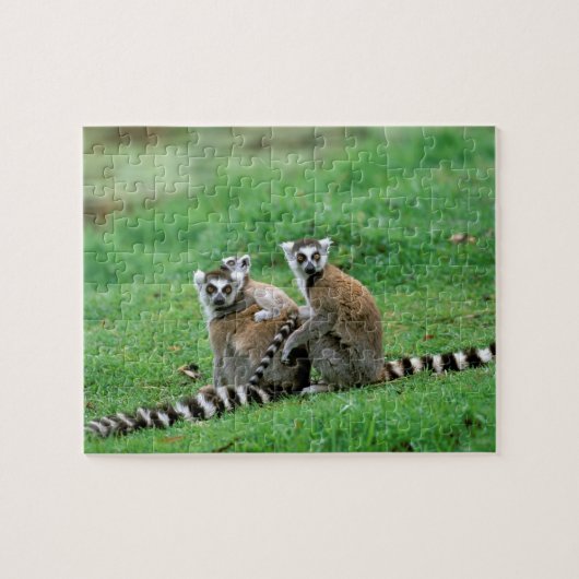 Afrika, Madagaskar, Antananarivo, Tsimbazaza Puzzle (Horizontal)