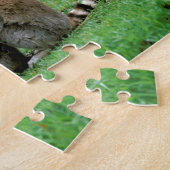 Afrika, Madagaskar, Antananarivo, Tsimbazaza Puzzle (Seite)