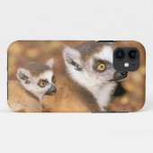 Afrika, Madagaskar, Berenty Private Reserve. Case-Mate iPhone Hülle (Rückseite (Horizontal))